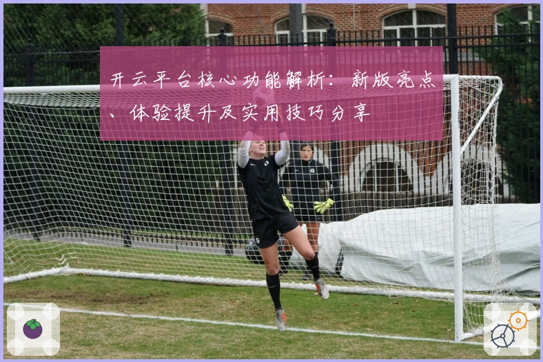 开云平台核心功能解析：新版亮点、体验提升及实用技巧分享