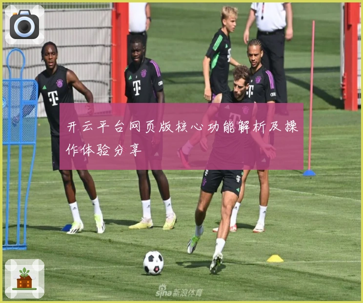 开云平台网页版核心功能解析及操作体验分享